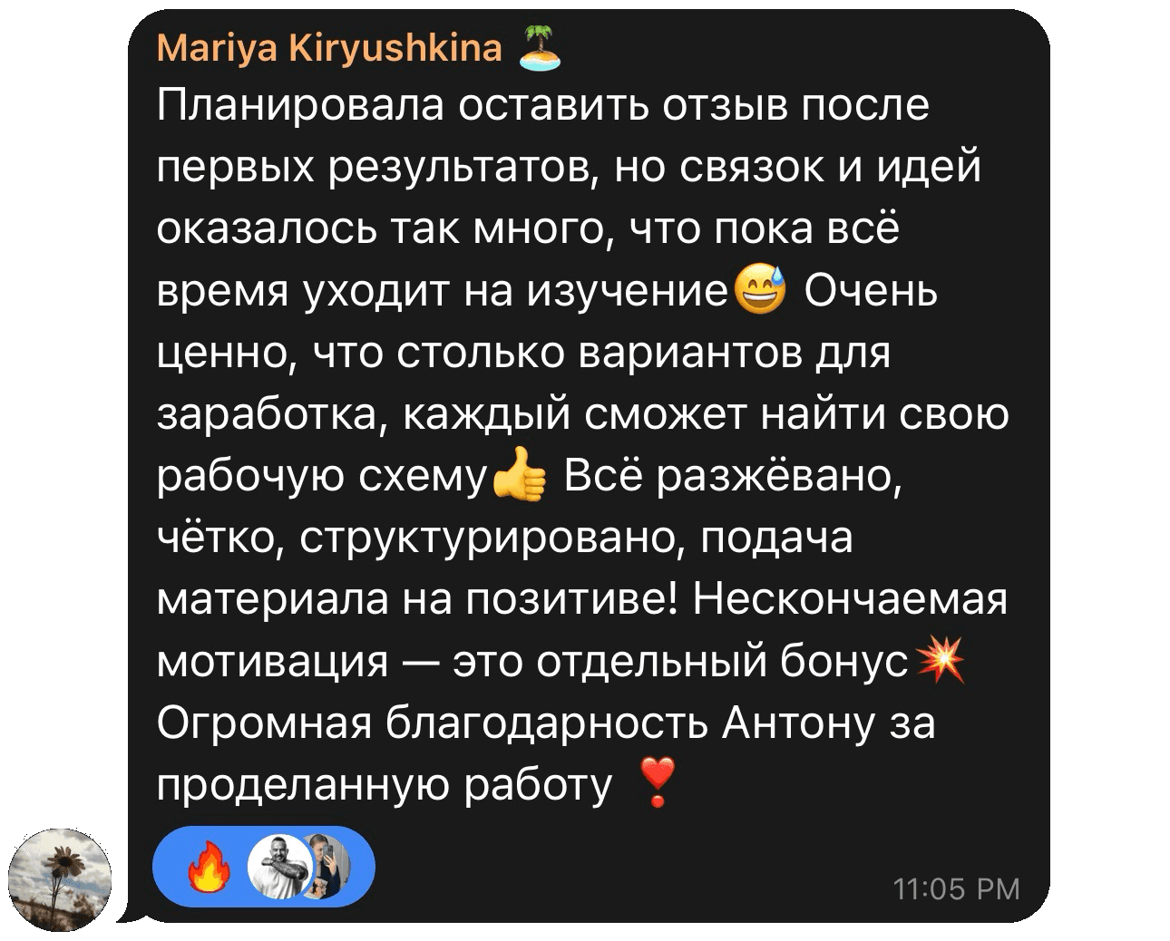 Отзыв Mariya Kiryushkina: много схем и идей, чёткая структура и мотивация.